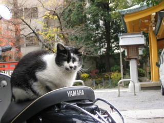 20041224_003.jpg