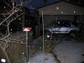 20050201.jpg