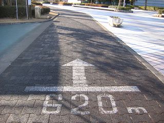 20050202a.jpg