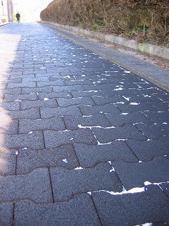 20050202b.jpg