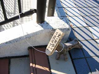 20050203_inu.jpg