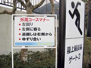 20050207hdarimawari.jpg