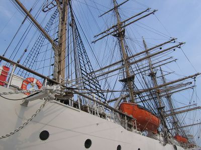 20050528_08.jpg