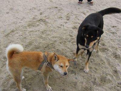 20050528_12.jpg