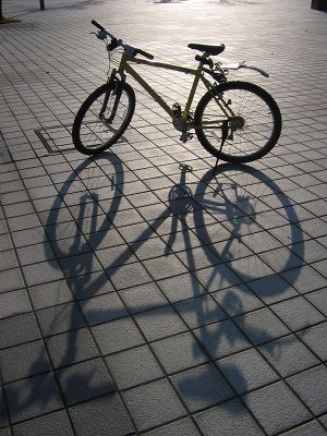 IMG_5415.jpg