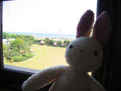 IMG_5788.jpg