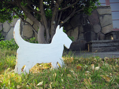 IMG_6007.jpg