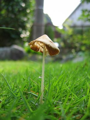 IMG_6768.jpg