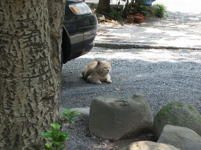 IMG_6780.jpg