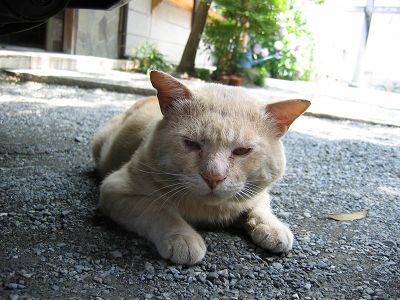IMG_6784.jpg