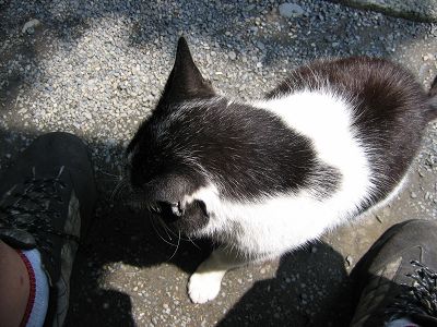 IMG_6789.jpg