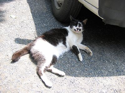 IMG_6795.jpg