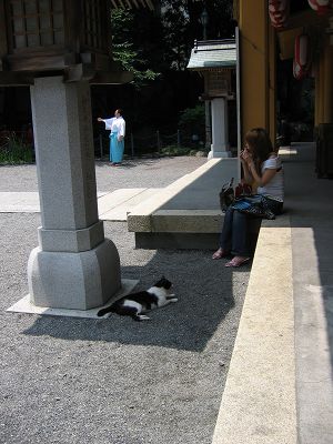 IMG_6797.jpg