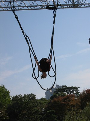 IMG_9063.jpg
