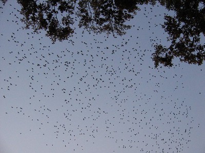 IMG_9153.jpg