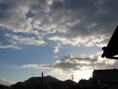 IMG_9204.jpg