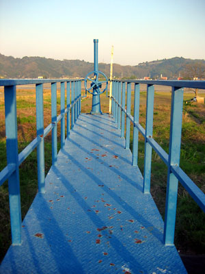 blue.jpg
